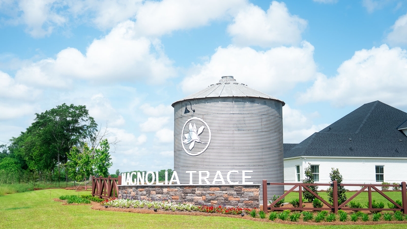 Magnolia Trace